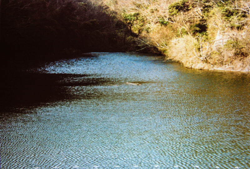 久木大池（平成12年）