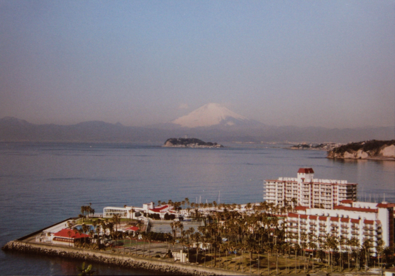 大崎公園から見た風景（平成17年）