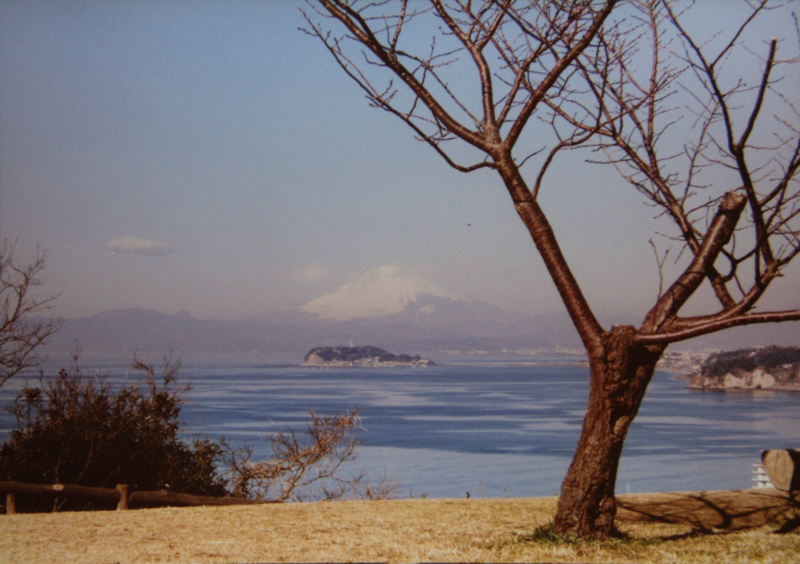 大崎公園から見た風景（平成17年）
