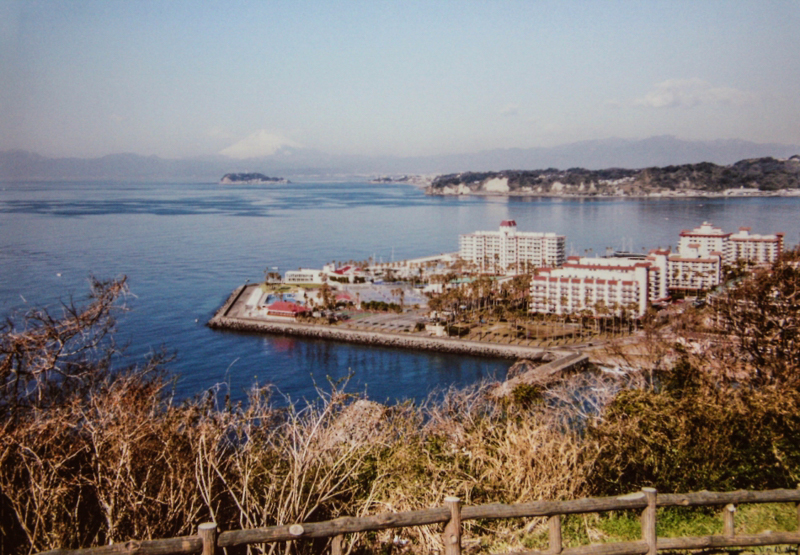 大崎公園から見た風景（平成17年）