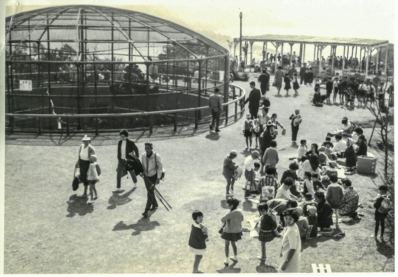 開園間もない披露山公園（昭和33年）