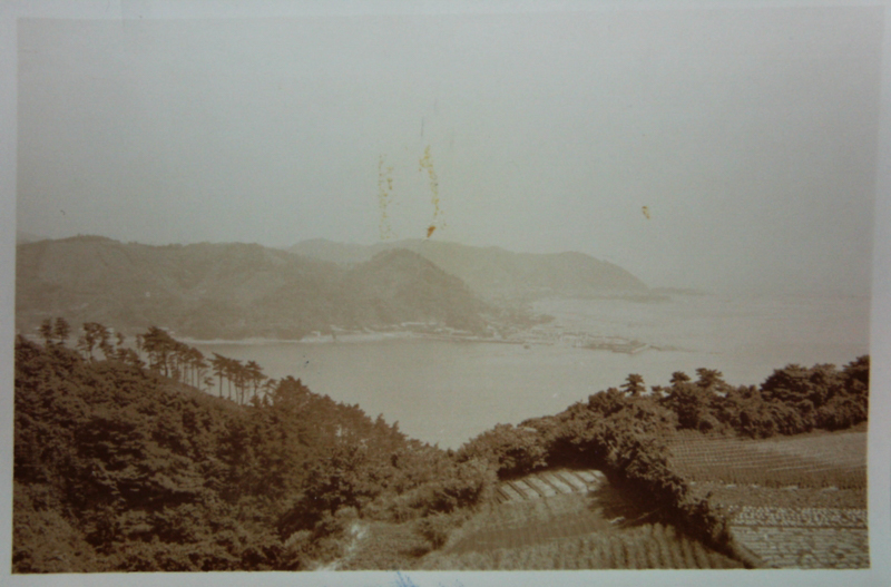 披露山からの逗子湾(昭和36年）