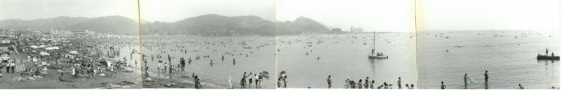 有料道路上から見た逗子海岸（昭和42年）
