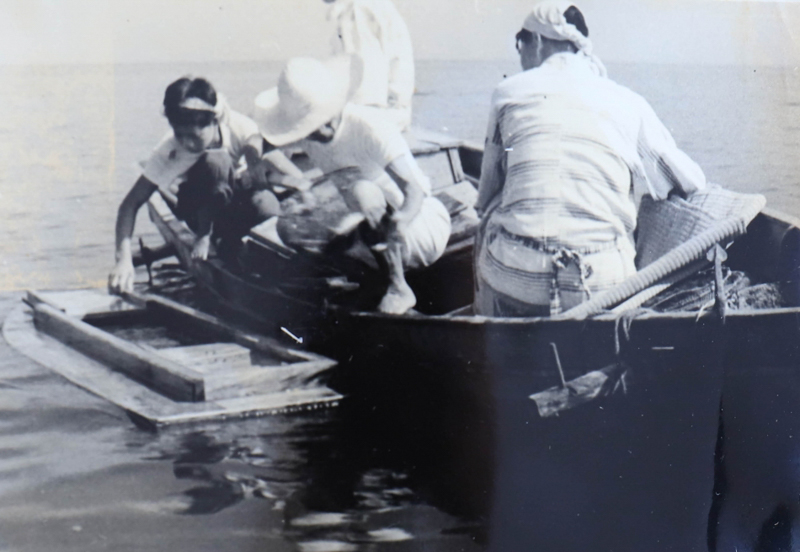 漁の様子（昭和28年）