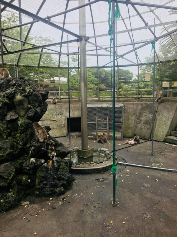 披露山公園高角砲台跡(昭和20年代)