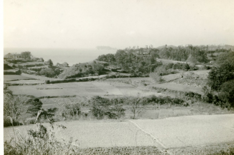 開発前の披露山（撮影時期不明）