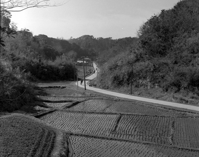 披露山登り口から見る小坪街道（昭和30年ごろ）