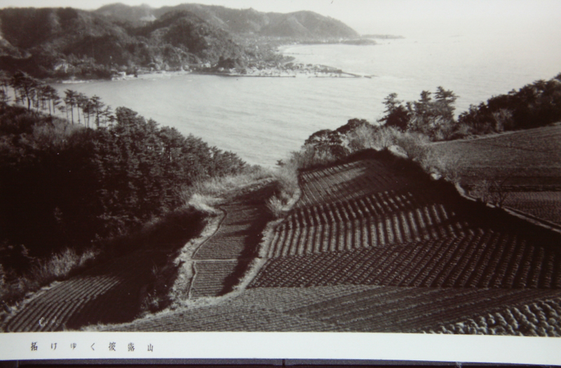 拓けゆく披露山(昭和)