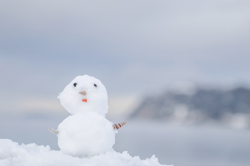 雪だるま（平成30年）