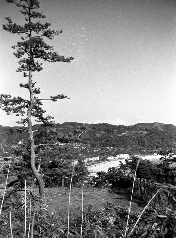 披露山中腹より（昭和30年ごろ）