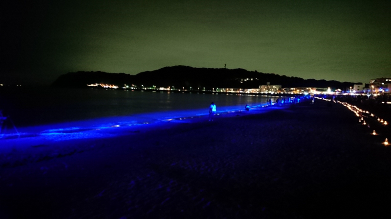 NIGHT　WAVE（平成28年）