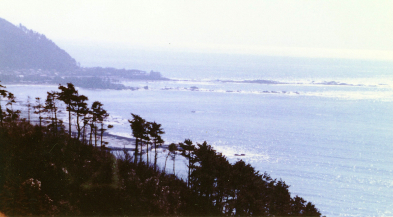 披露山から葉山を望む（昭和37年）