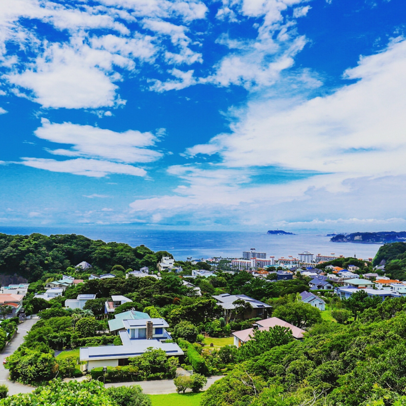 披露山庭園住宅を望む（平成29年）