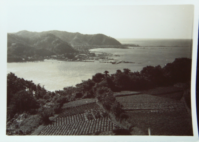 披露山公園（昭和34年ころ）