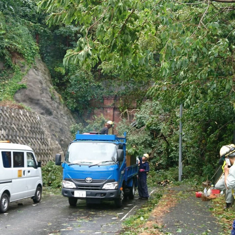 倒木・土砂崩落により通行止めとなった県道311号線小坪隧道（令和元年9月14日撮影）