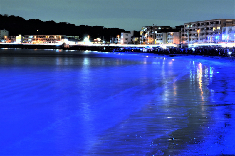 91　ブルービーチ・逗子