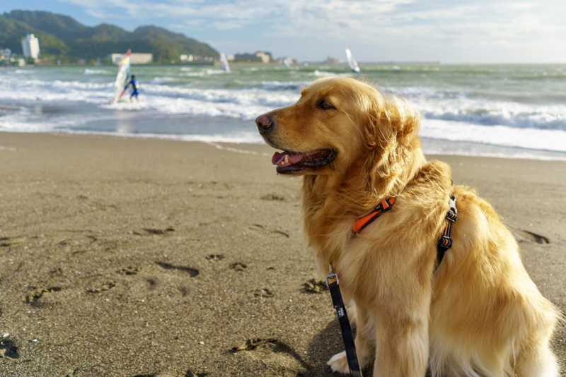 128　海はいいねぇー