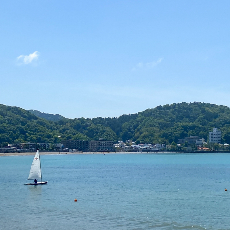 春の逗子海岸（令和2年）