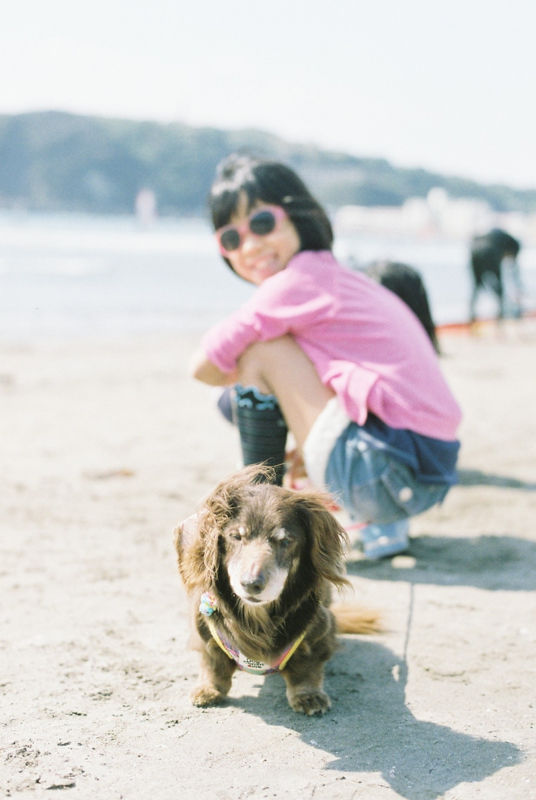 Z-91 お散歩は逗子海岸！