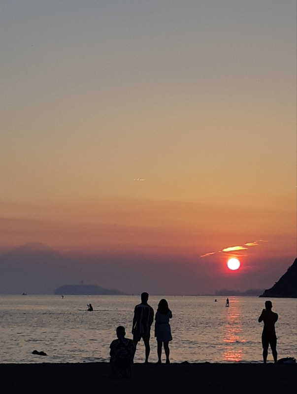 Z-111 夕陽